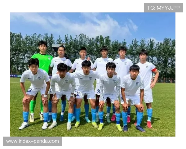 大连英博青春风暴冲击中超，年轻球员状态起伏或致排名中游