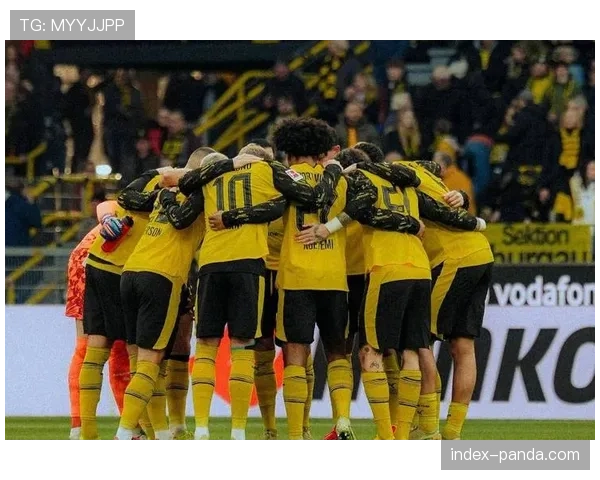 多特蒙德南看台面临改造，欧足联站席新规引发俱乐部不满