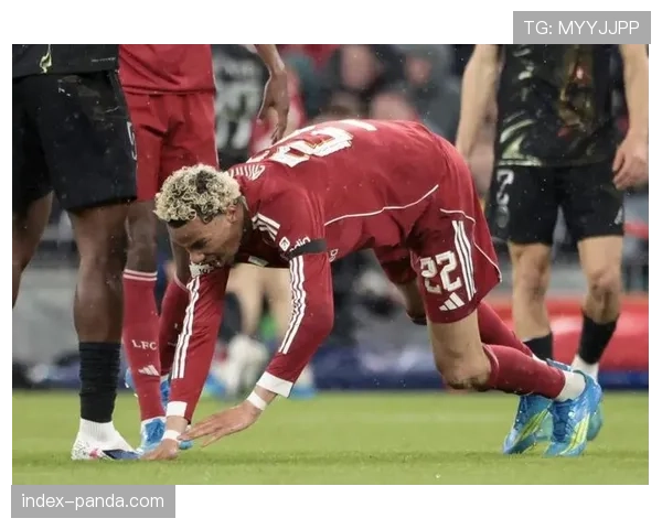 利物浦伤病频发：埃基蒂克重伤，莱昂尼和布拉德利赛季报销